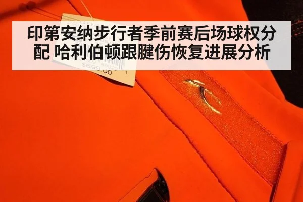 印第安纳步行者季前赛后场球权分配 哈利伯顿跟腱伤恢复进展分析